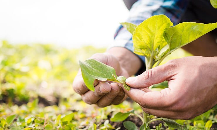 healthfirstlifesciences.com